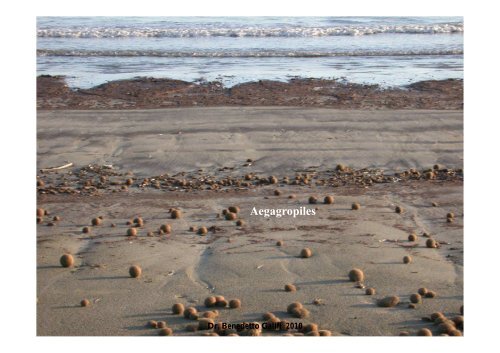 La spiaggia di Punta Tipa - Trapani Nostra