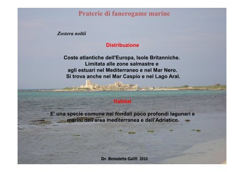 La spiaggia di Punta Tipa - Trapani Nostra