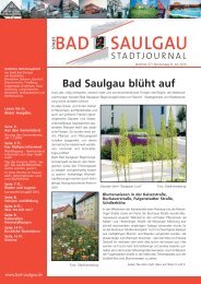 Stadtjournal Ausgabe 27/2010 - Stadt Bad Saulgau