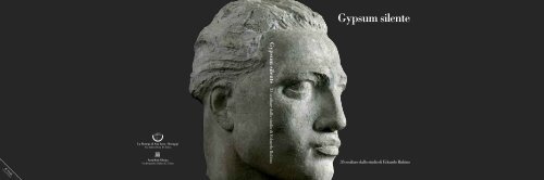 Gypsum silente - Benappi