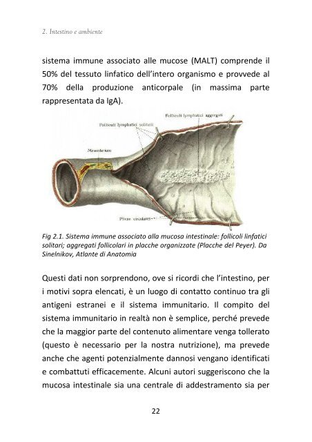 Spunti di Nutrizione rev2011 - Clinica Pediatrica Trieste - Università ...