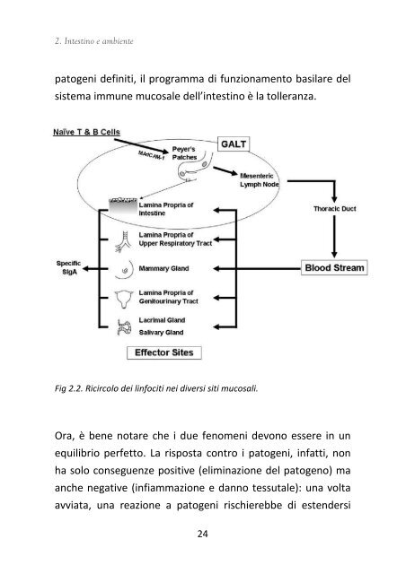 Spunti di Nutrizione rev2011 - Clinica Pediatrica Trieste - Università ...