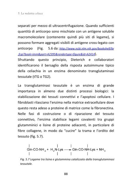 Spunti di Nutrizione rev2011 - Clinica Pediatrica Trieste - Università ...