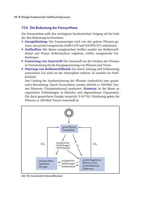 15.6 Die Bedeutung der Fotosynthese - STARK Verlag