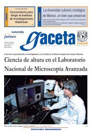 Ciencia de altura en el Laboratorio Nacional de Microscopía Avanzada