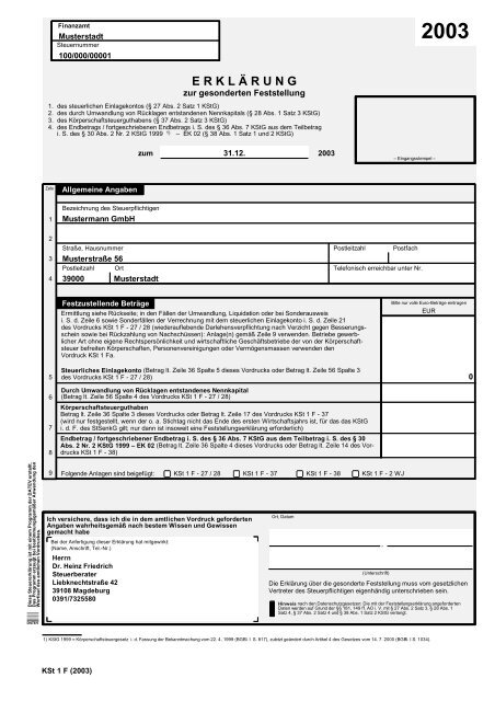 Körperschaftsteuererklärung 1F - STB-DR-Friedrich