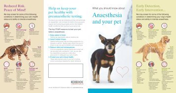 test heartworm 4dx IDEXX Your Laboratories   Anesthesia Pet and