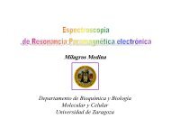 Tema 11. Espectroscopia de resonancia paramagnética electrónica.