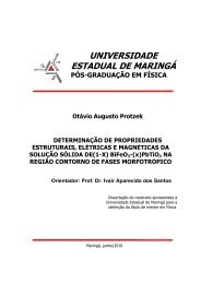 UNIVERSIDADE ESTADUAL DE MARINGÁ ... - Pfi.uem.br