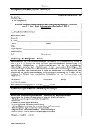 Antragsformular Zusatzjobs (pdf-Datei)