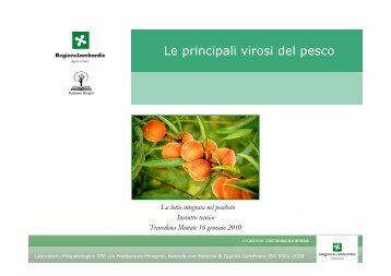 Le principali virosi del pesco.pdf - Provincia di Varese