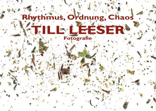 Rhythmus, Ordnung, Chaos.pdf