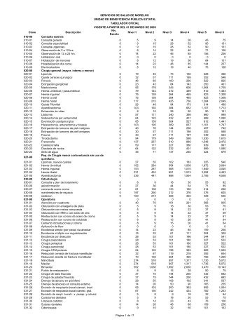 propuesta de tabulador con aumento al 2009 - Servicios de Salud ...