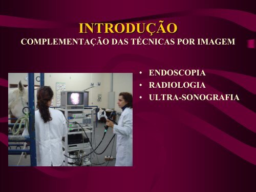 imagens ultra-sonográficas de pleuropneumonia em eqüinos