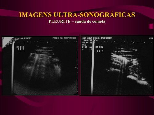 imagens ultra-sonográficas de pleuropneumonia em eqüinos
