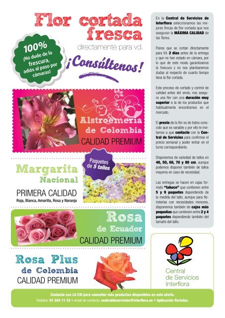 Catálogo - Central de Servicios - Interflora Central de Servicios ...