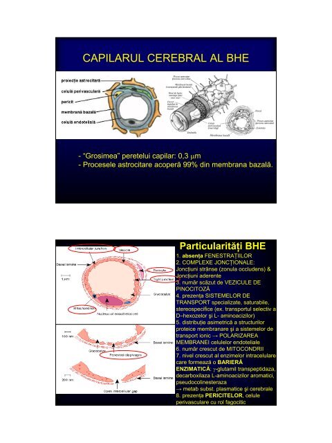 Cerebral blood flow & metabolism