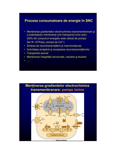 Cerebral blood flow & metabolism