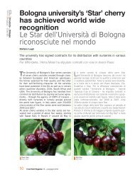 Bologna university's 'Star' cherry has achieved world wide ...