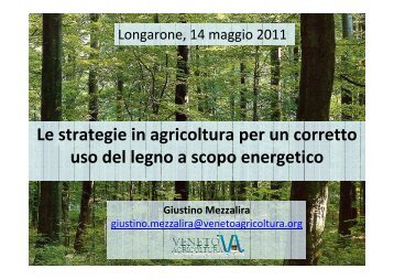 Giustino Mezzalira Veneto Agricoltura - Professione Legno Energia