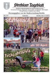 Strehlaer Tageblatt - Stadt Strehla