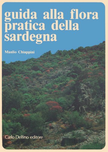 versione pdf - Sardegna DigitalLibrary