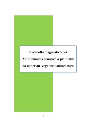 Protocollo Xanthomonas pruni.pdf - Strateco