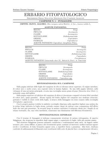 Erbario Fitopatologico (.pdf) - GuIT