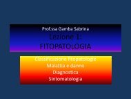 fitopatologia: sintomi
