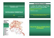 PATOLOGIA FORESTALE - Ersa