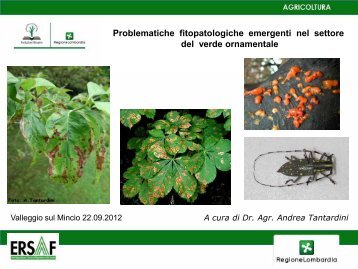 Malattie fungine emergenti - DemoGarden