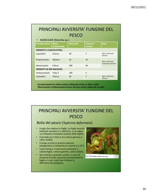 Lezione IV: Il pesco e l'albicocco - Agronomoeforestale.it