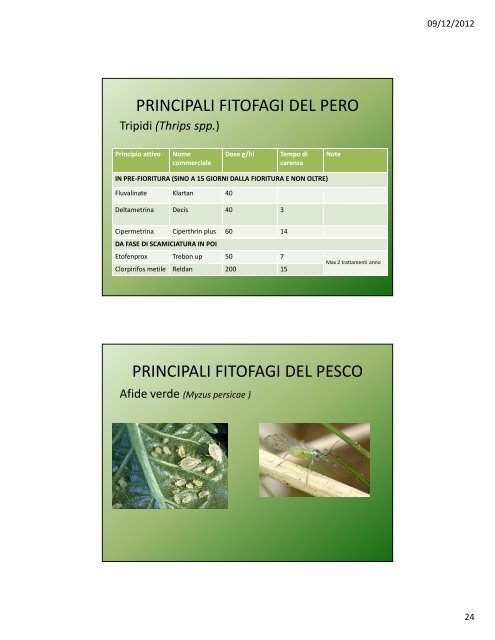 Lezione IV: Il pesco e l'albicocco - Agronomoeforestale.it