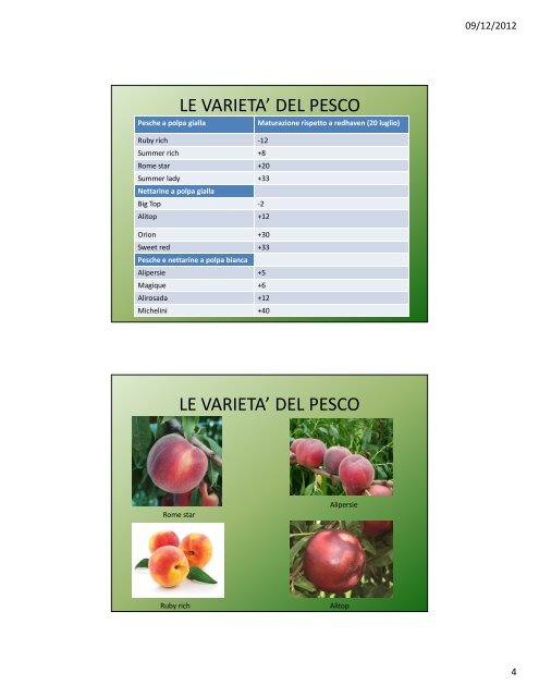 Lezione IV: Il pesco e l'albicocco - Agronomoeforestale.it