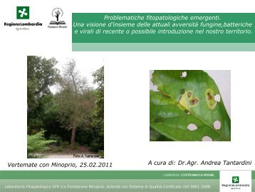 Allerte fitosanitarie.pdf - Fondazione Minoprio