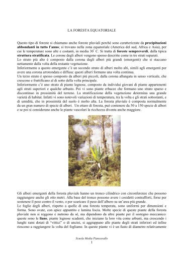 LA FORESTA EQUATORIALE - Scuola Media di Piancavallo