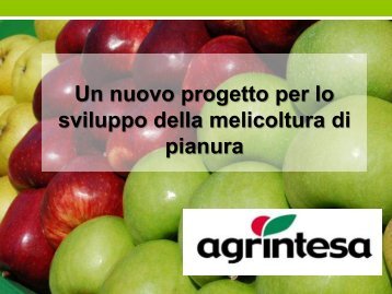 MELO AGRINTESA