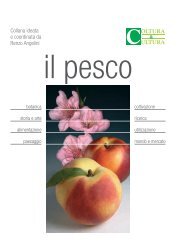 il pesco - Coltura & Cultura