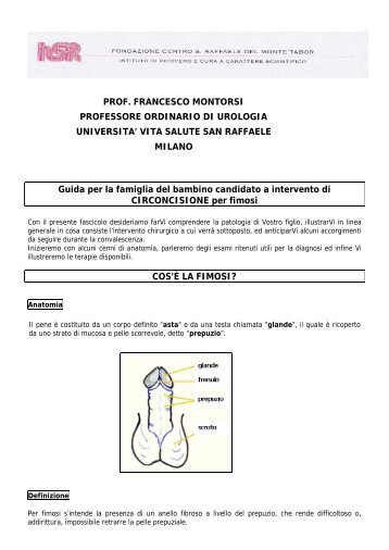 Scarica il pdf - Francesco Montorsi