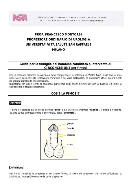 Scarica il pdf - Francesco Montorsi