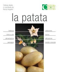 la patata - Coltura & Cultura