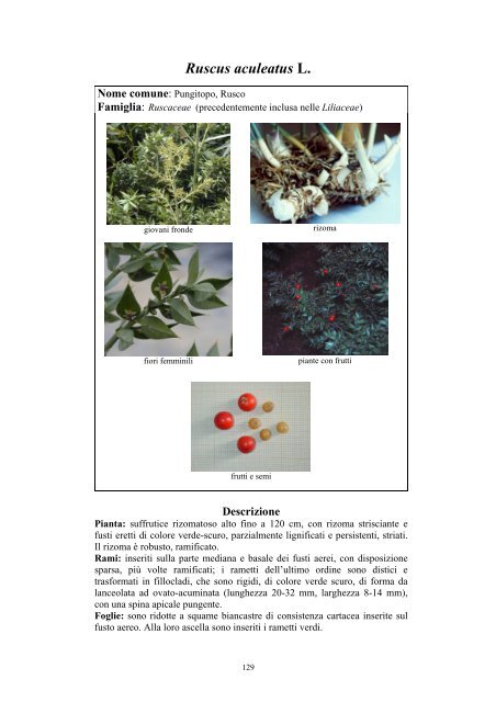 Scarica il Libro Completo - Istituto Sperimentale per la Floricoltura