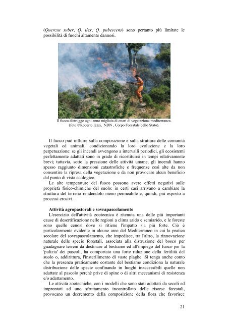 Scarica il Libro Completo - Istituto Sperimentale per la Floricoltura