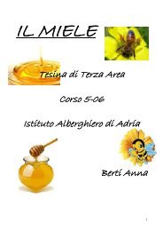 Anna Berti Il miele - Istituto Alberghiero Cipriani Adria