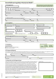 Stromlieferungsvertrag Naturrhein-Strom mobil - Stadtwerke ...