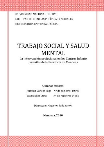 Trabajo Social y Salud Mental. La intervención profesional en los ...