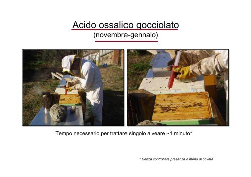 Varroa: sempre più difficile difendersi!? - Sardegna Agricoltura