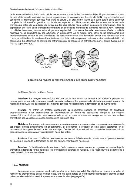 laboratorio de genética: genética hereditaria - Mediante este portal ...