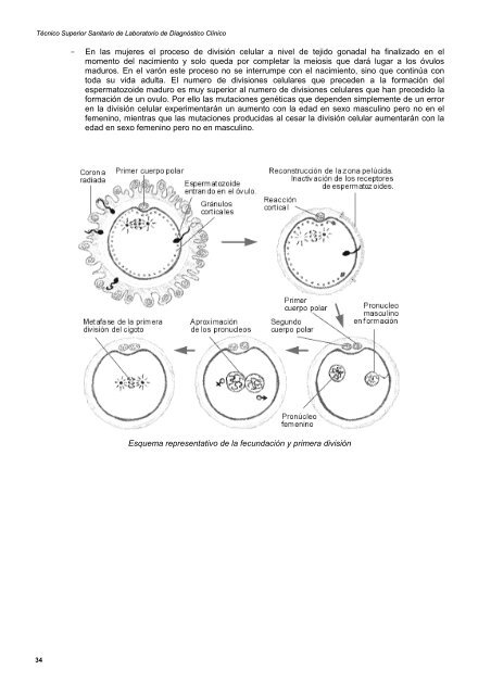 laboratorio de genética: genética hereditaria - Mediante este portal ...