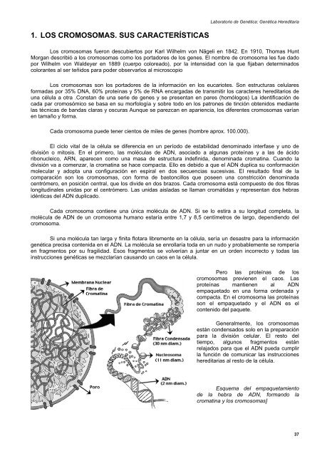 laboratorio de genética: genética hereditaria - Mediante este portal ...